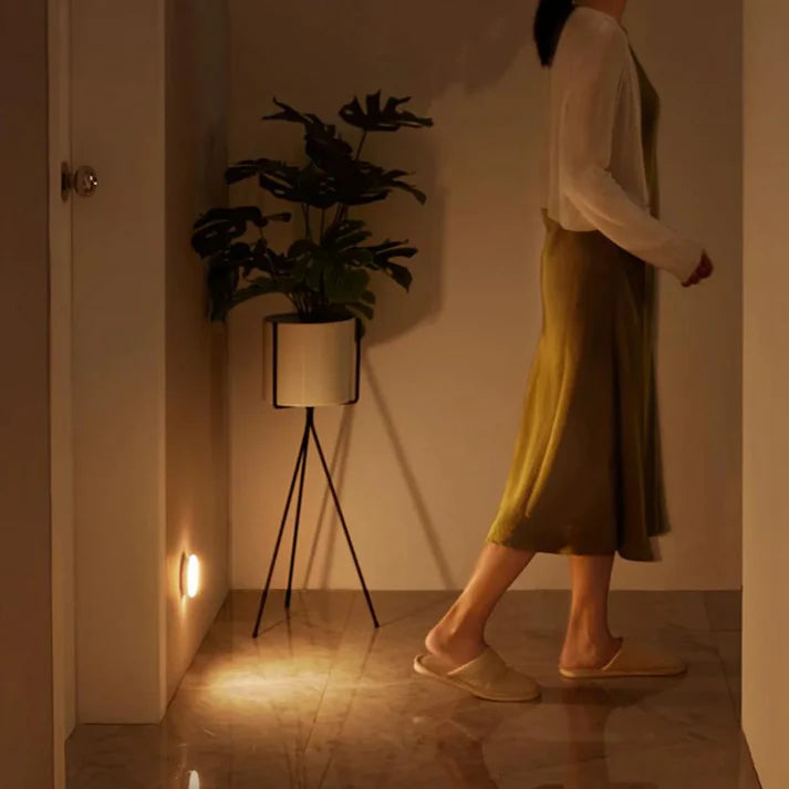 FloraGlam® Motion Sensor Lights